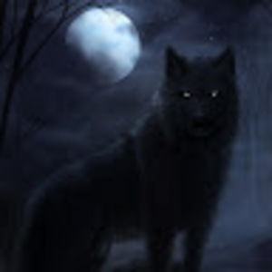 Meet your Posher, Sergio